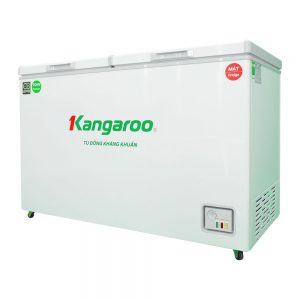 Tủ đông kháng khuẩn 252 lít KG252C2N