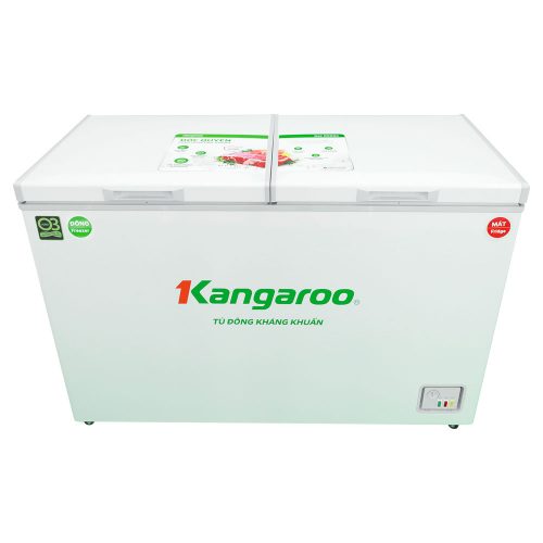 Tủ đông kháng khuẩn 252 lít KG252C2N