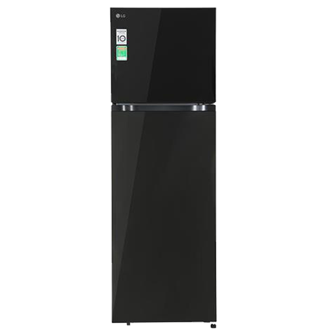 Tủ lạnh LG Inverter 266 lít T26BG.AGKPEVN