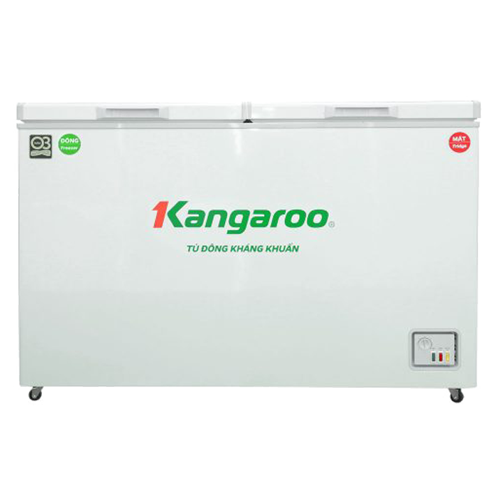 Tủ đông kháng khuẩn 252 lít KG252C2N